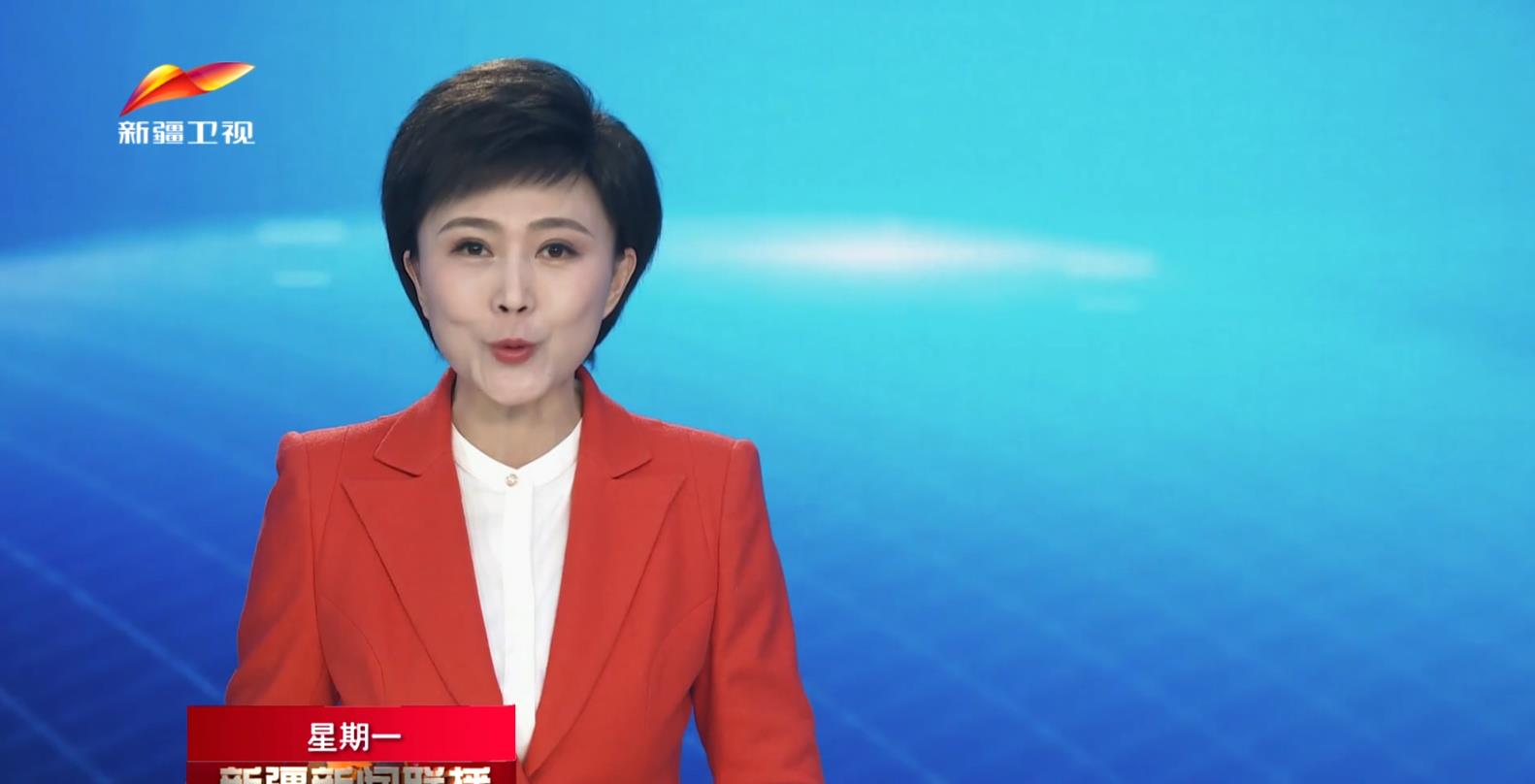 新疆代表团审议全国人大常委会工作报告等