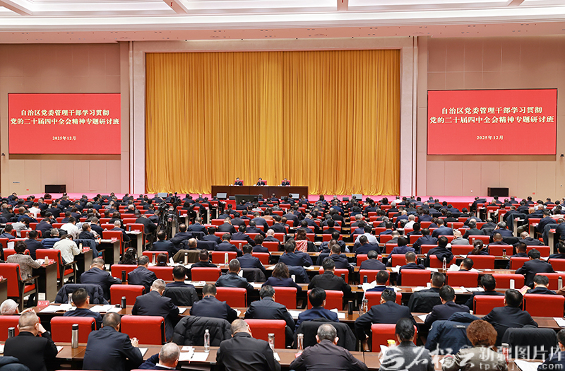自治区党委管理干部学习贯彻党的二十届四中全会精神专题研讨班开班