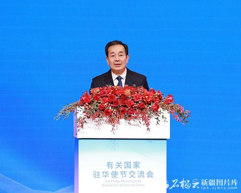 新疆在京举办有关国家驻华使节交流会