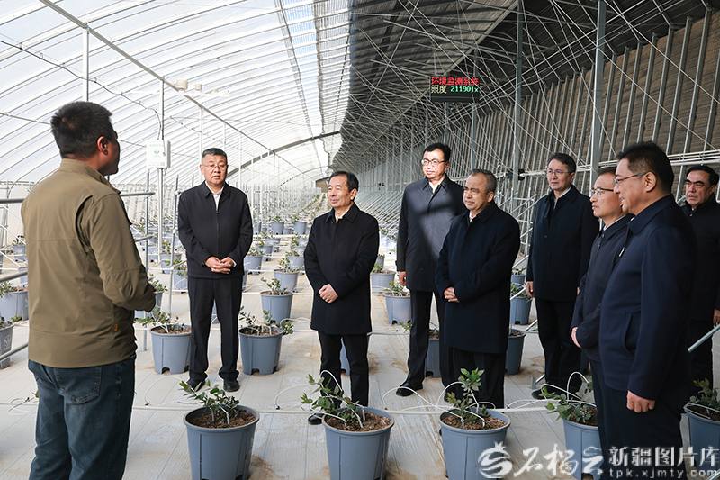 陈小江艾尔肯·吐尼亚孜在和田调研